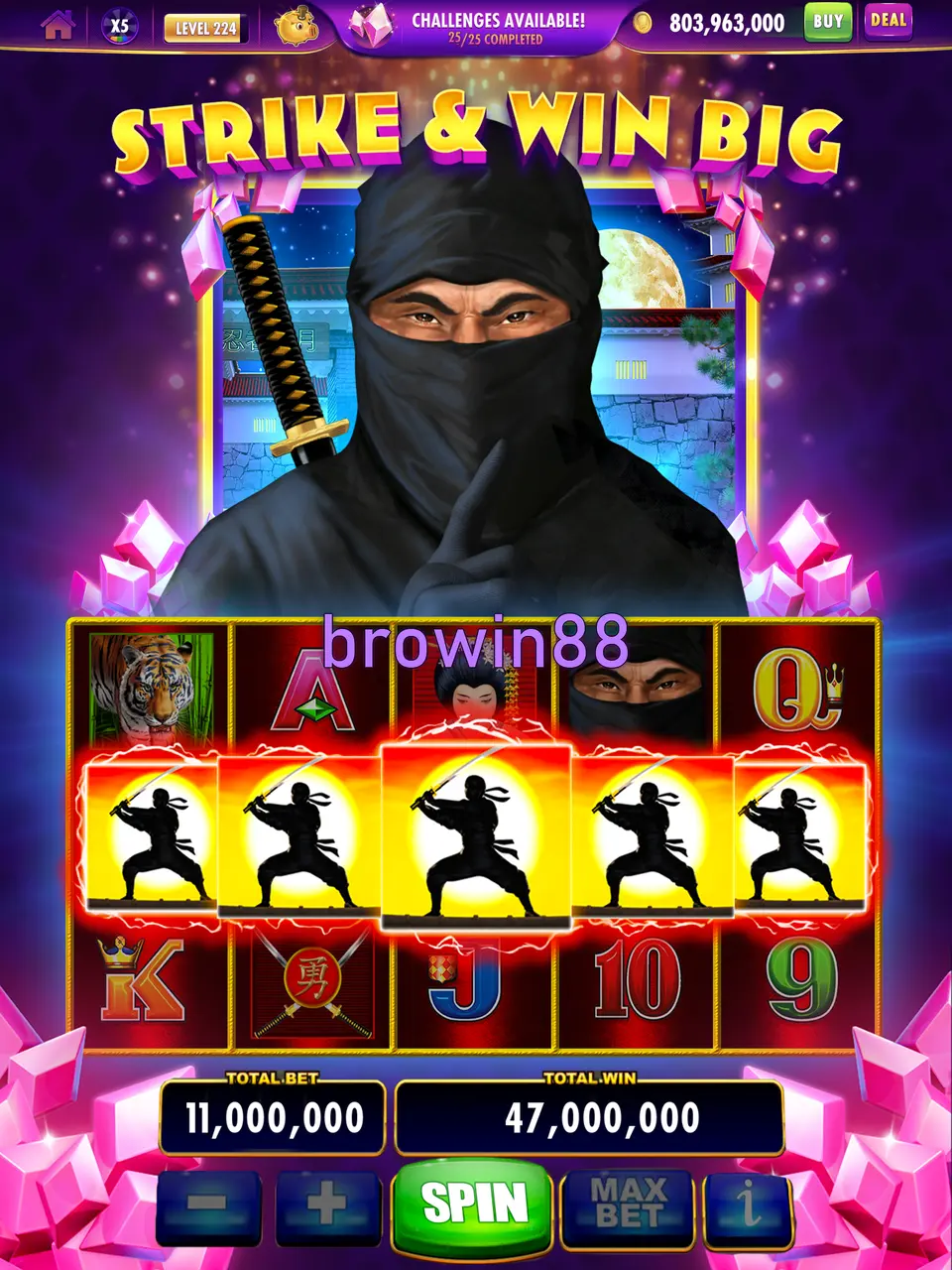 browin88 Preview - Resmi Unduh